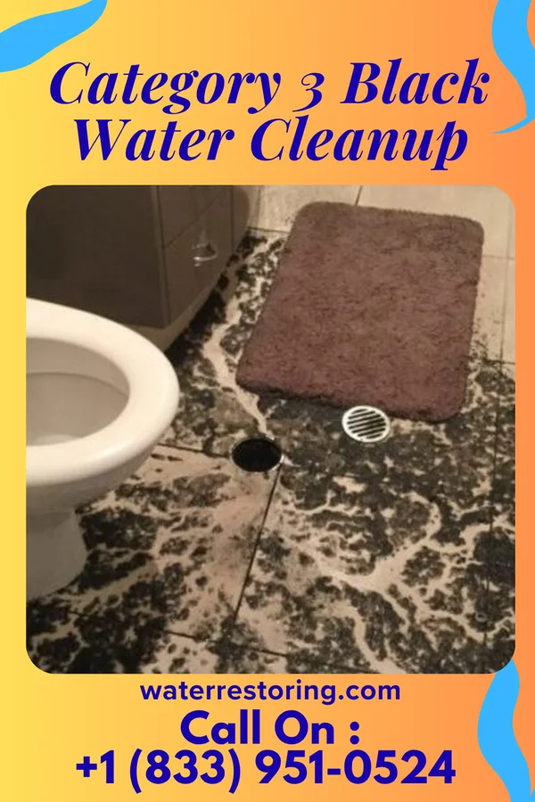 Category 3 Black Water Cleanup in Olin, IA