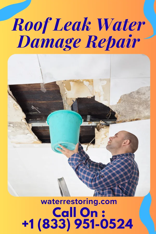 Roof Leak Water Damage Repair in Olin, IA